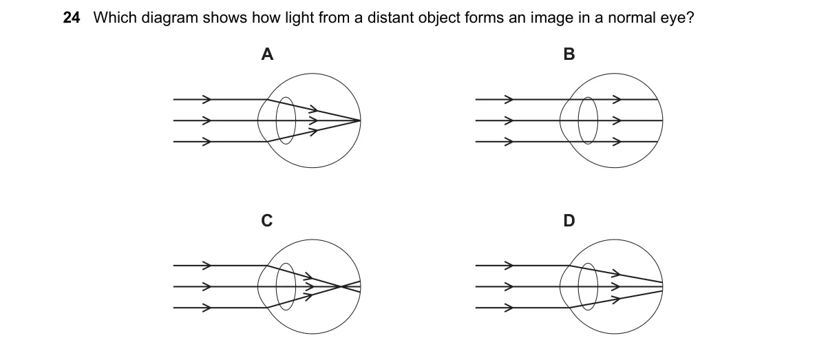 Question 24 from 5054/12/M/J/24