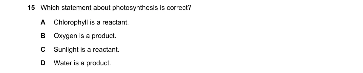 Question 15 from 5070/12/O/N/19