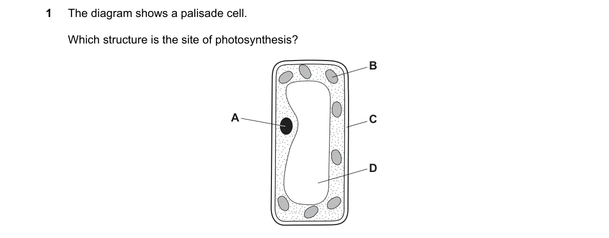 Question 1 from 5090/11/M/J/18