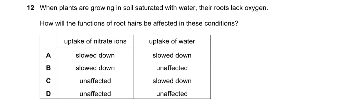 Question 12 from 5090/11/M/J/18