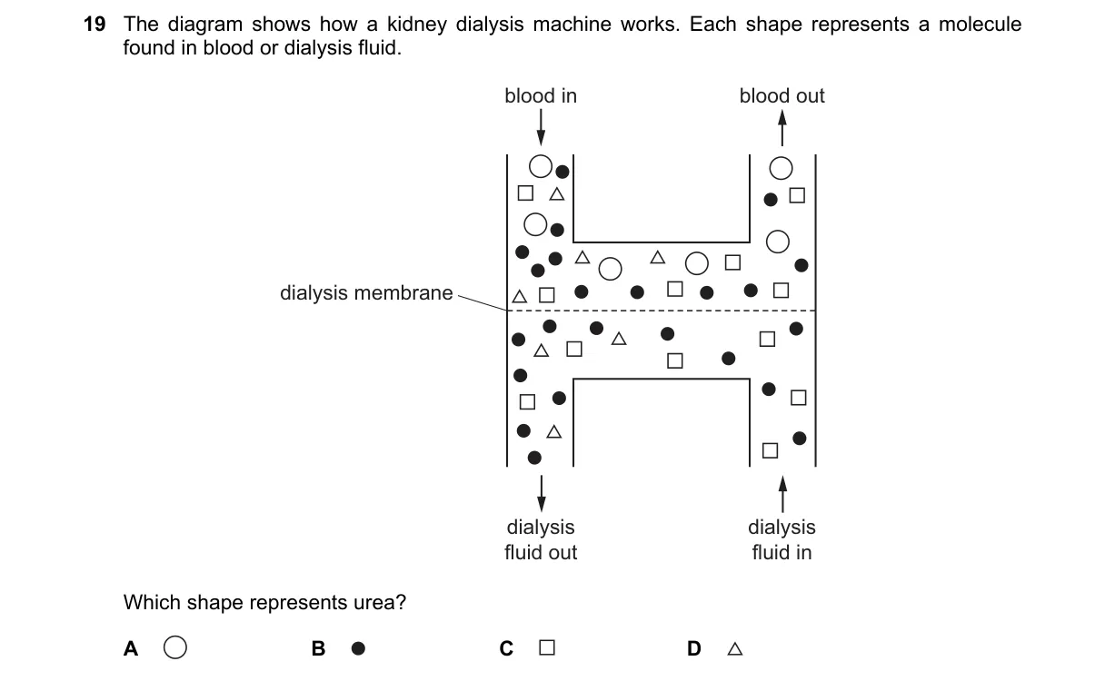 Question 19 from 5090/11/M/J/18