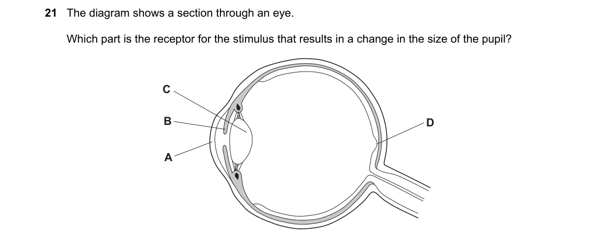 Question 21 from 5090/11/M/J/18