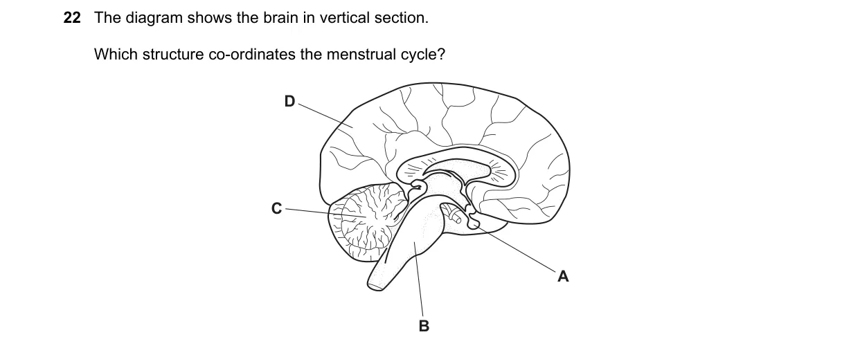 Question 22 from 5090/11/M/J/18
