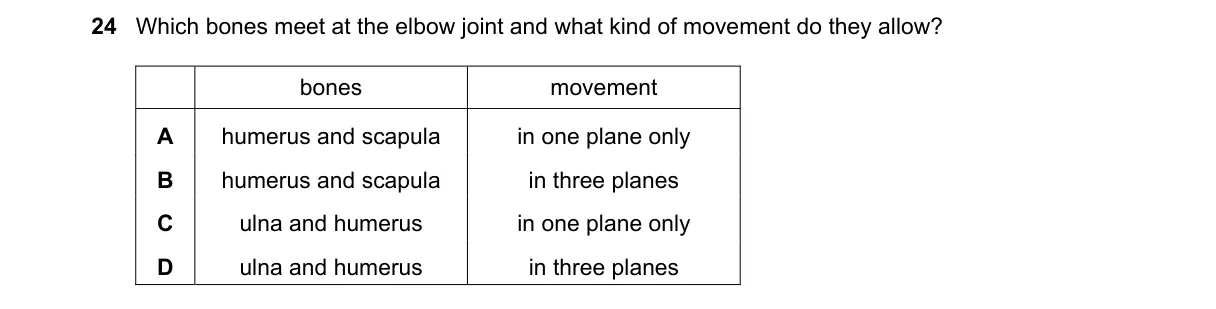 Question 24 from 5090/11/M/J/18