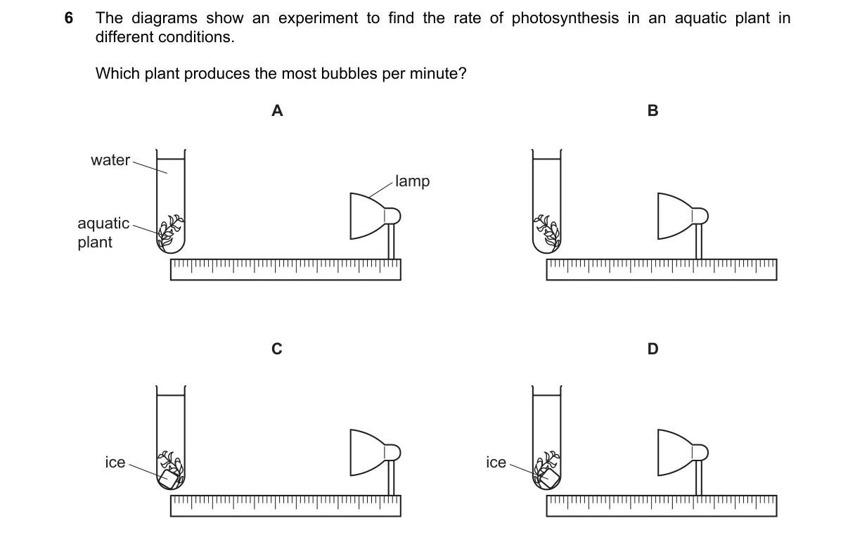 Question 6 from 5090/11/M/J/18