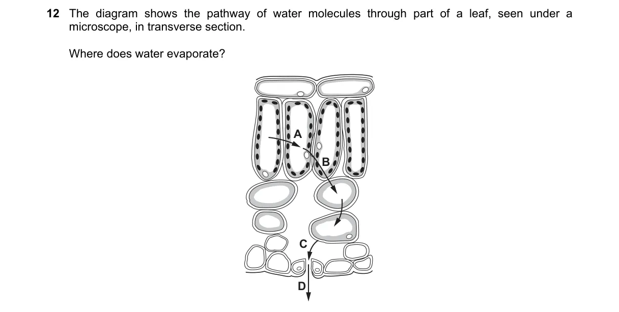 Question 12 from 5090/12/M/J/18