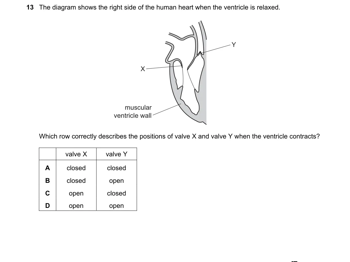 Question 13 from 5090/12/M/J/18