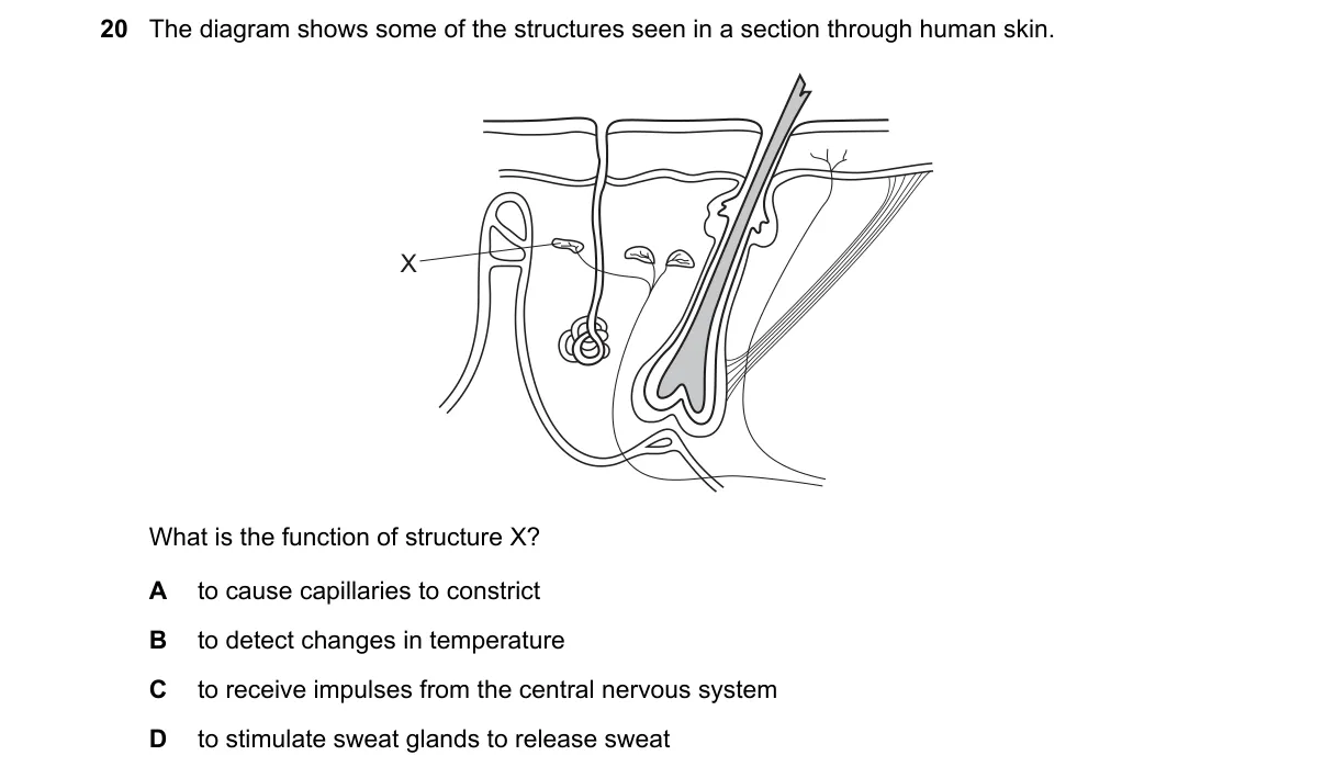 Question 20 from 5090/12/M/J/18