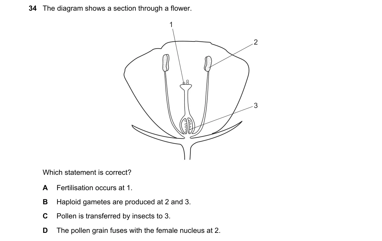 Question 34 from 5090/12/M/J/18