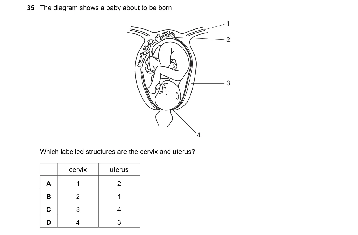 Question 35 from 5090/12/M/J/18