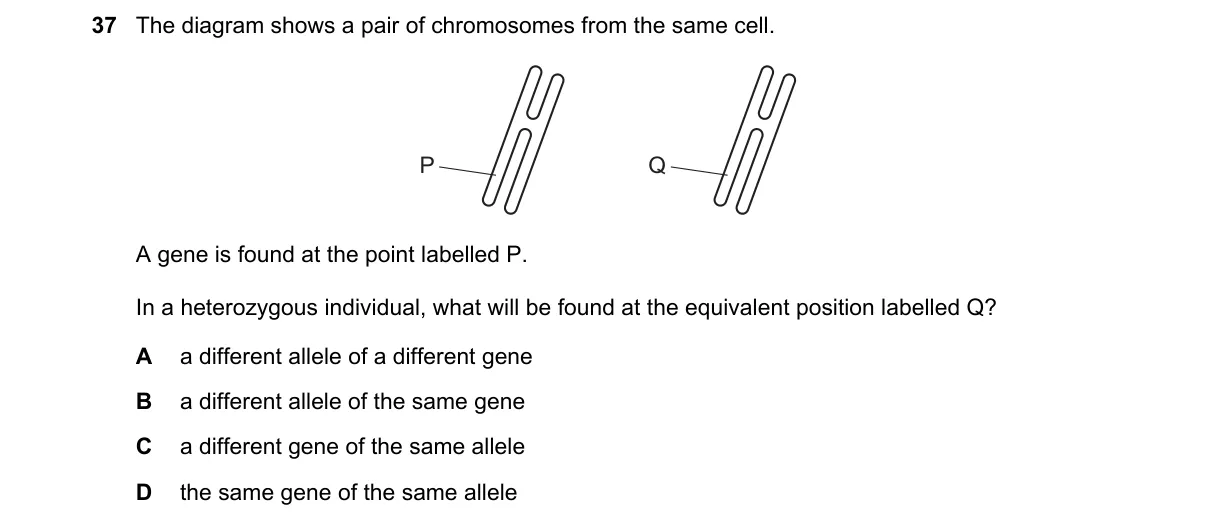 Question 37 from 5090/12/M/J/18
