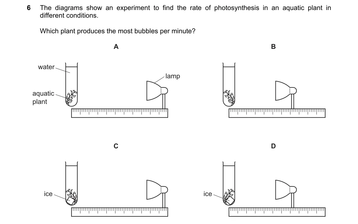 Question 6 from 5090/12/M/J/18