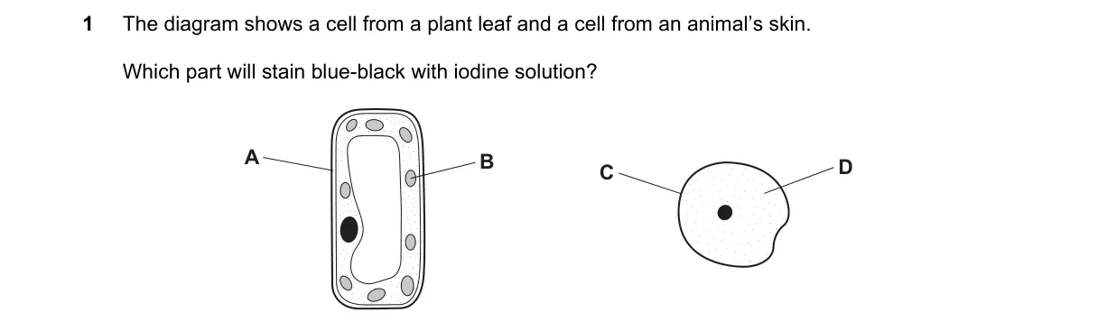 Question 1 from 5090/11/M/J/19