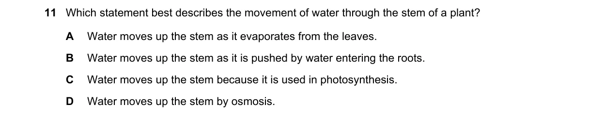 Question 11 from 5090/11/M/J/19