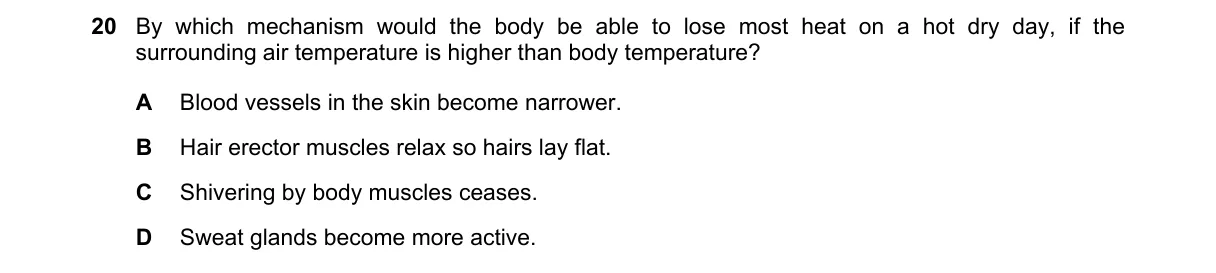 Question 20 from 5090/11/M/J/19