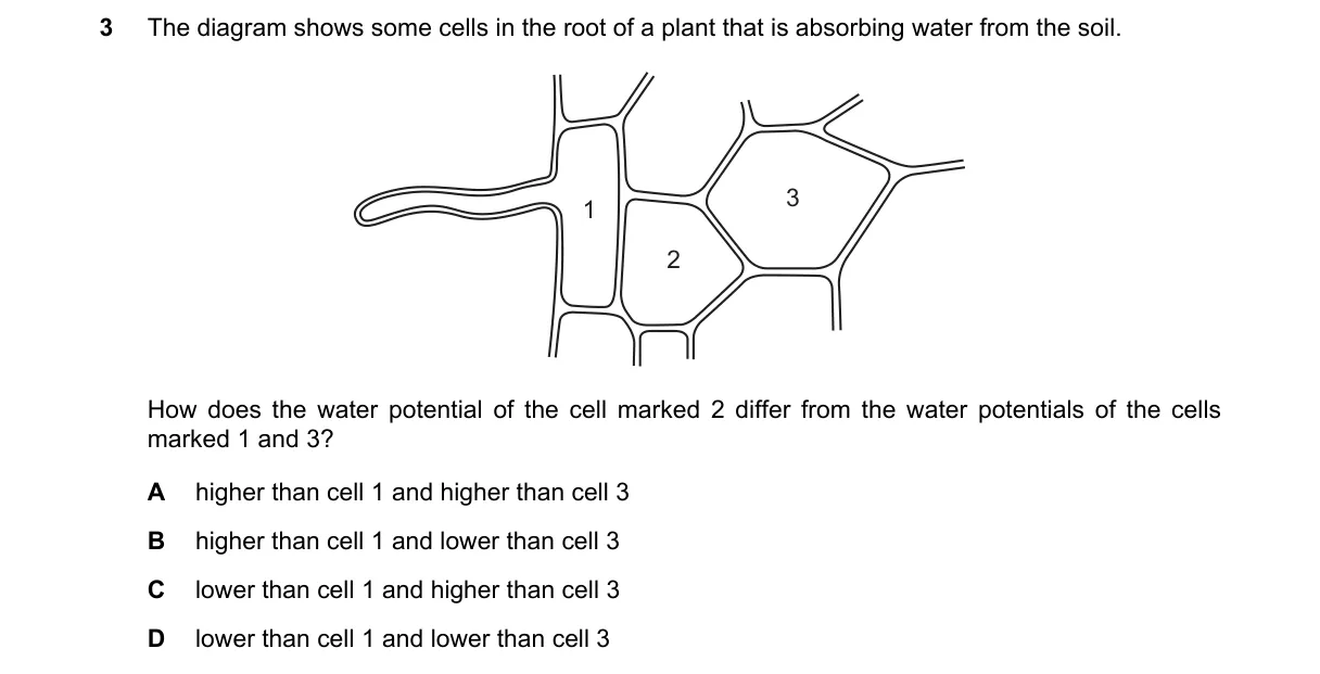 Question 3 from 5090/11/M/J/19