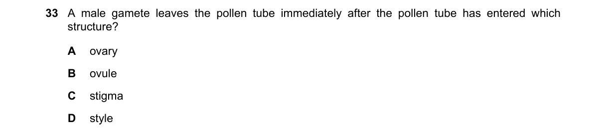 Question 33 from 5090/11/M/J/19