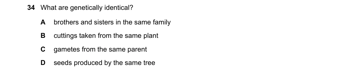 Question 34 from 5090/11/M/J/19