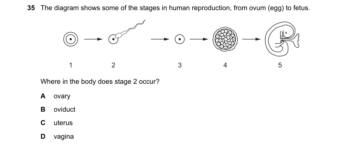 Question 35 from 5090/11/M/J/19