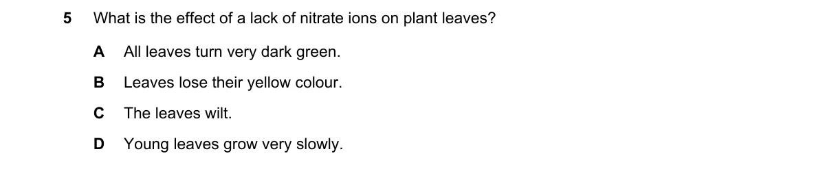Question 5 from 5090/11/M/J/19