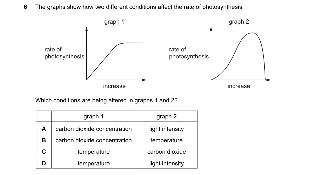 Question 6 from 5090/11/M/J/19