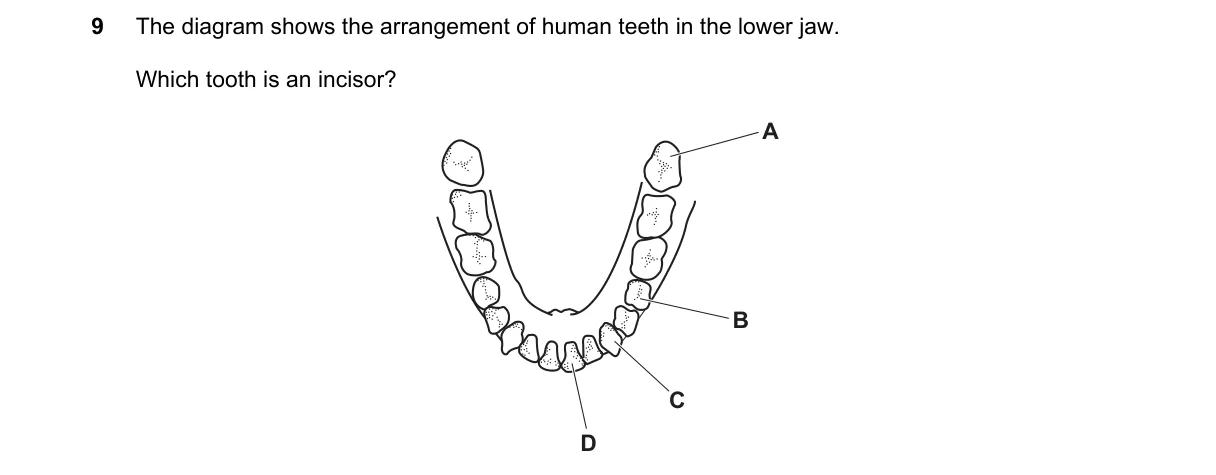 Question 9 from 5090/11/M/J/19
