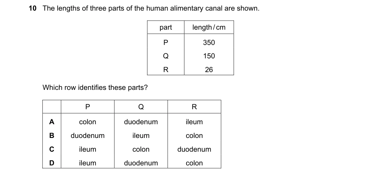 Question 10 from 5090/12/M/J/19