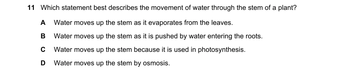 Question 11 from 5090/12/M/J/19