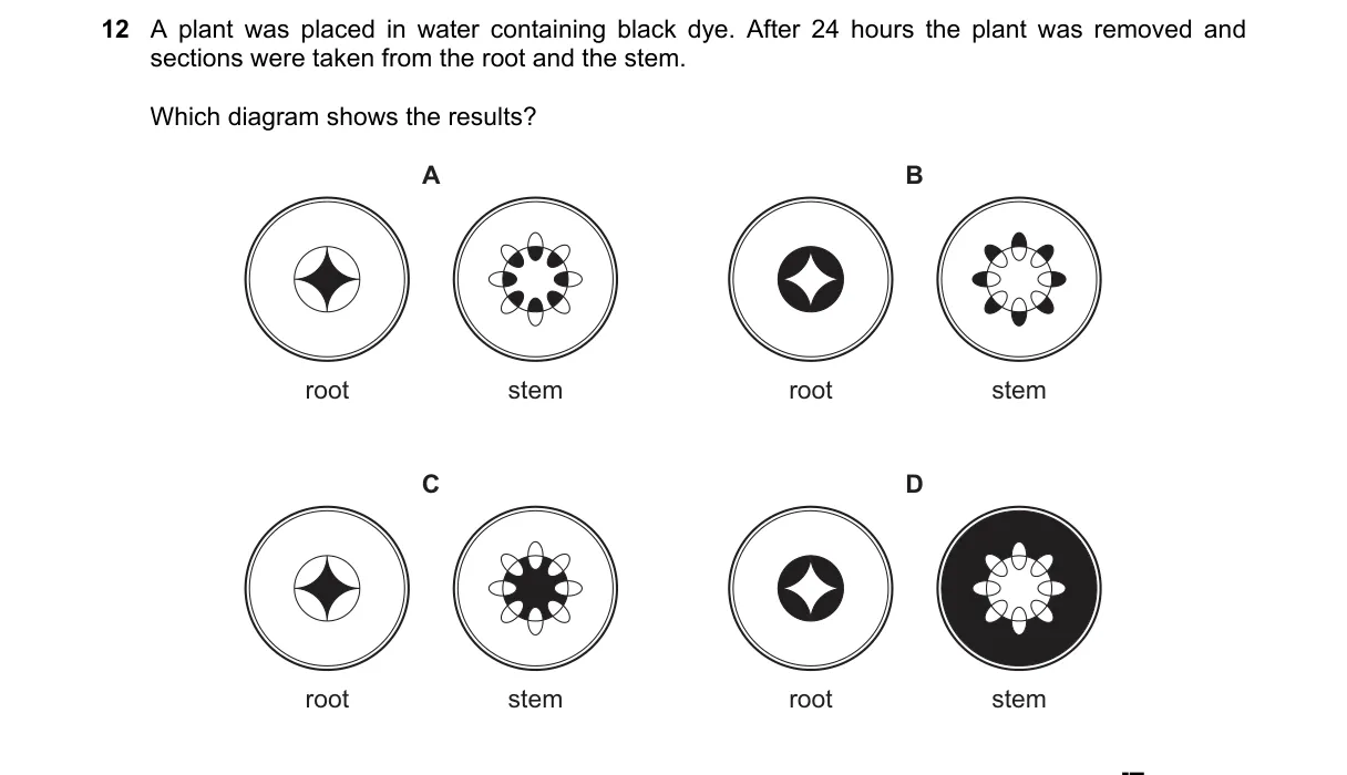 Question 12 from 5090/12/M/J/19