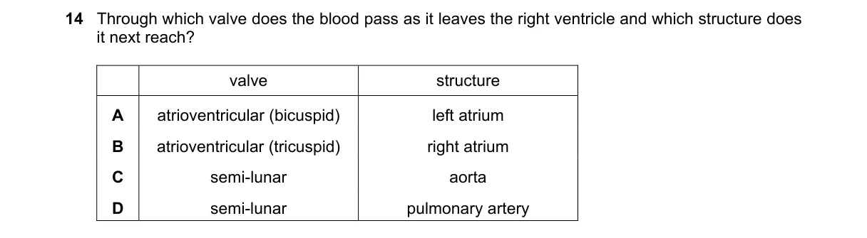 Question 14 from 5090/12/M/J/19