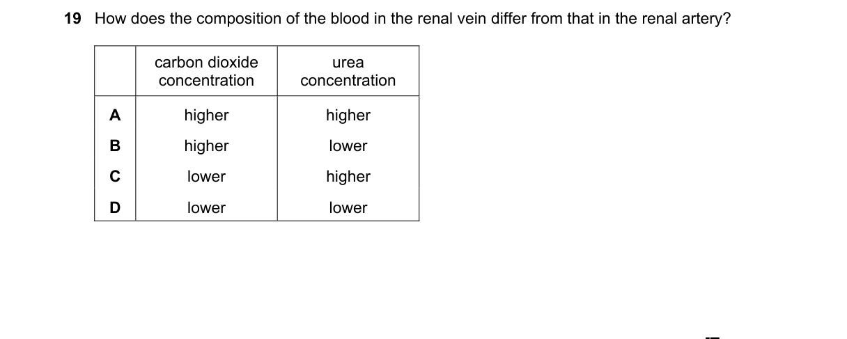 Question 19 from 5090/12/M/J/19