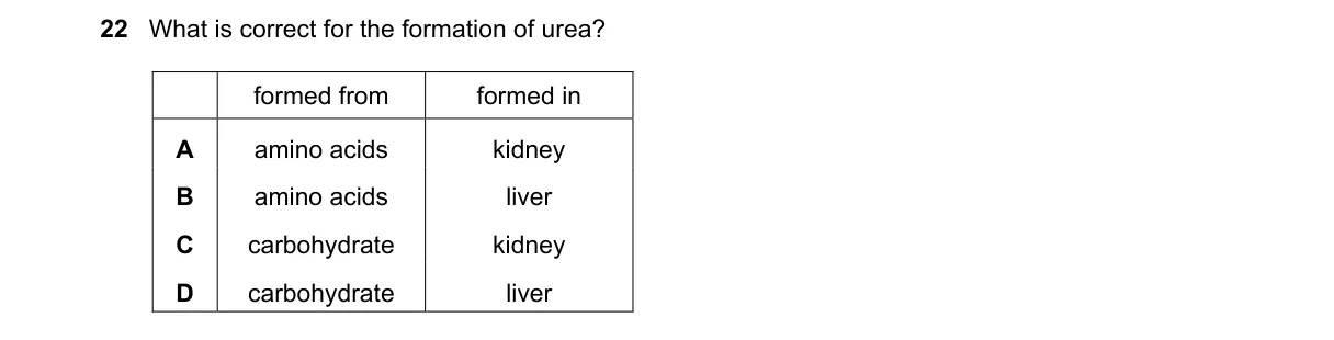 Question 22 from 5090/12/M/J/19