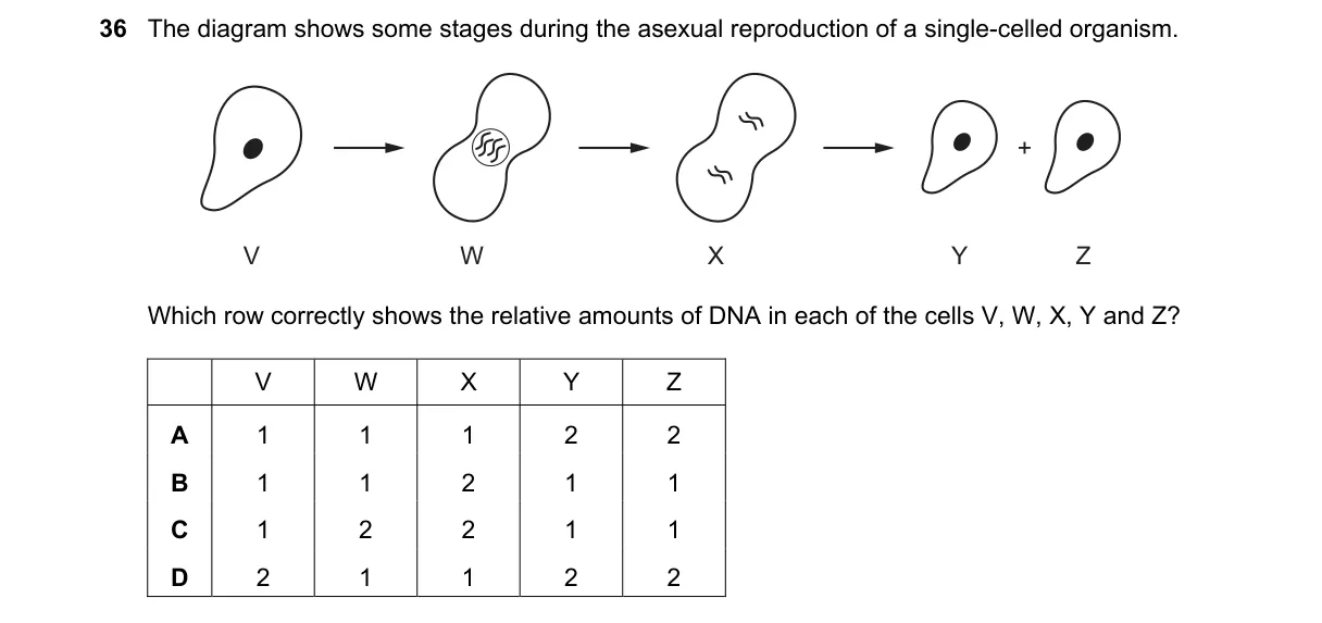 Question 36 from 5090/12/M/J/19