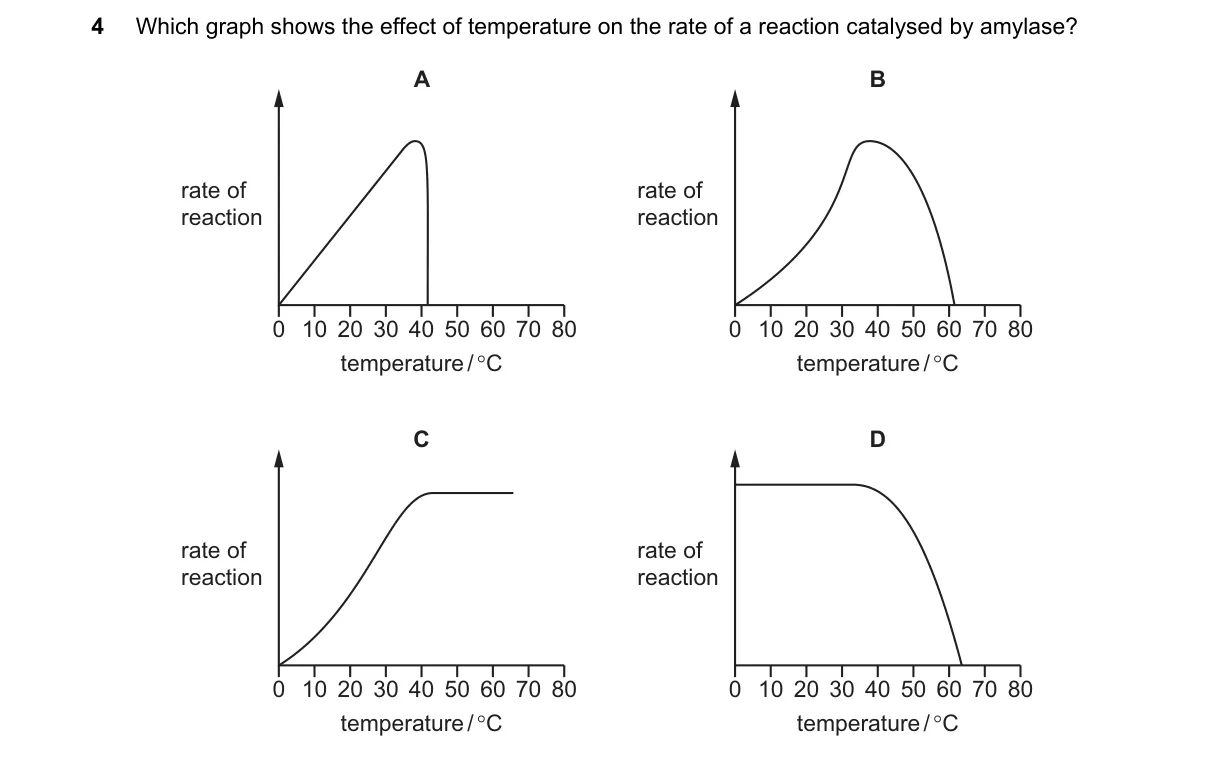 Question 4 from 5090/12/M/J/19