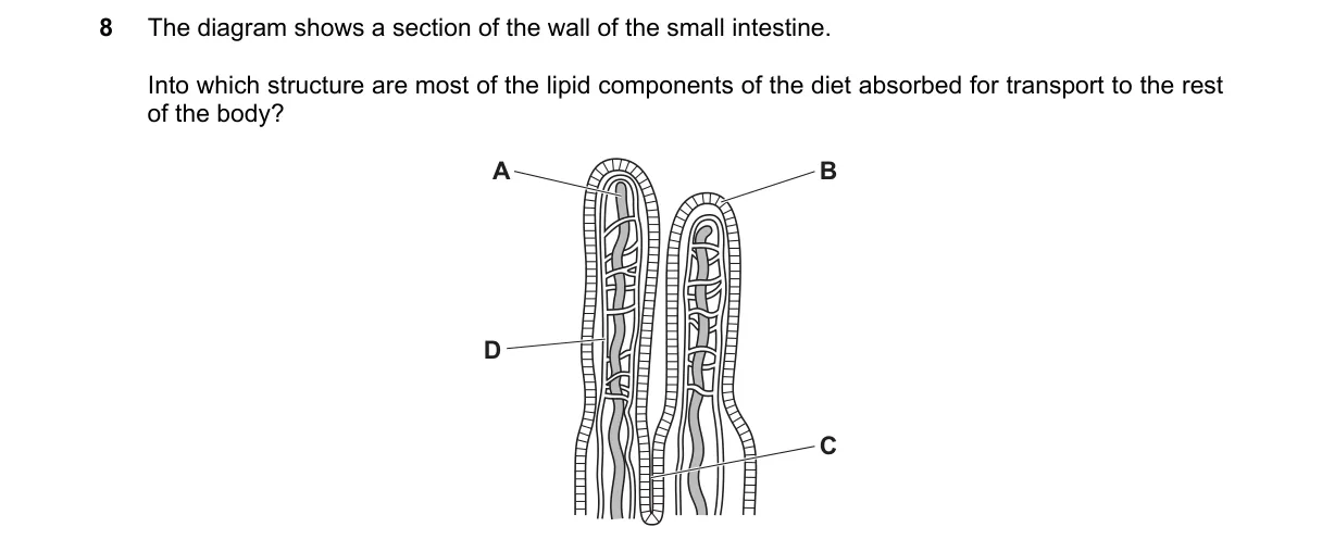Question 8 from 5090/12/M/J/19