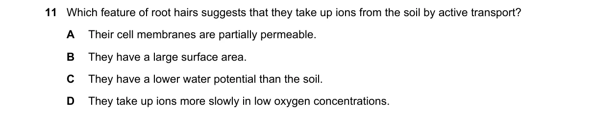 Question 11 from 5090/11/M/J/20