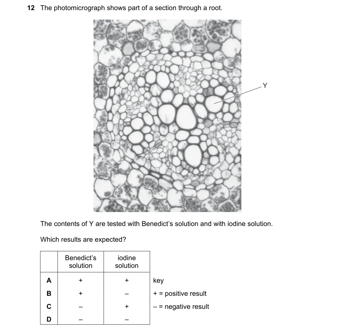 Question 12 from 5090/11/M/J/20