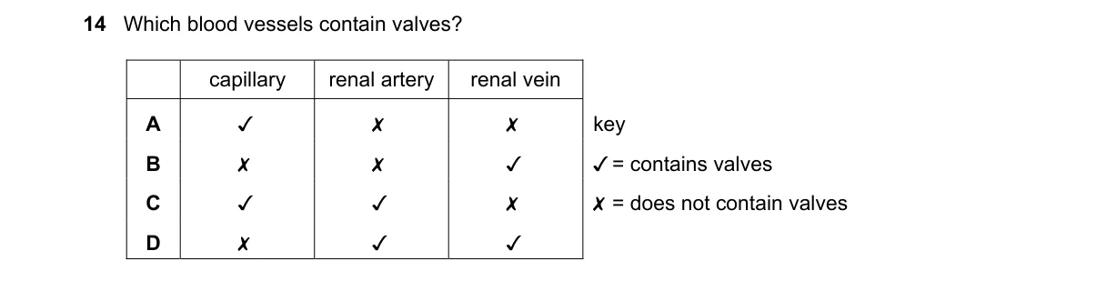 Question 14 from 5090/11/M/J/20