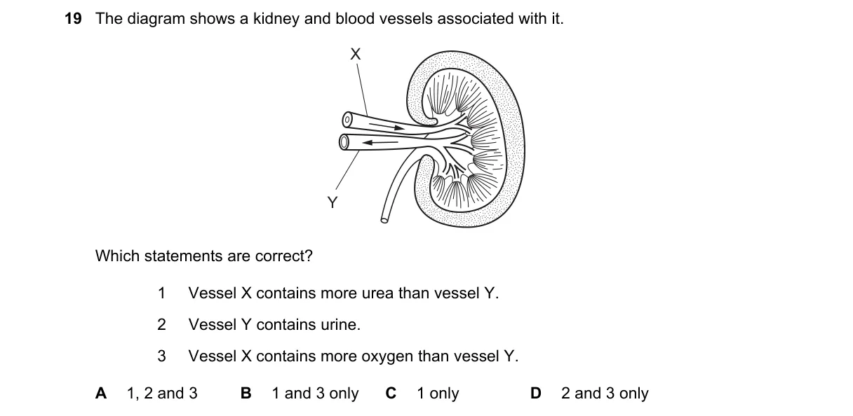 Question 19 from 5090/11/M/J/20