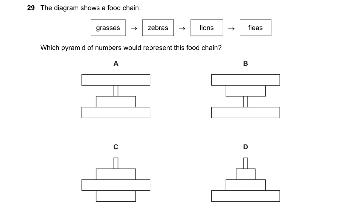 Question 29 from 5090/11/M/J/20