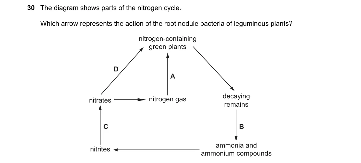 Question 30 from 5090/11/M/J/20