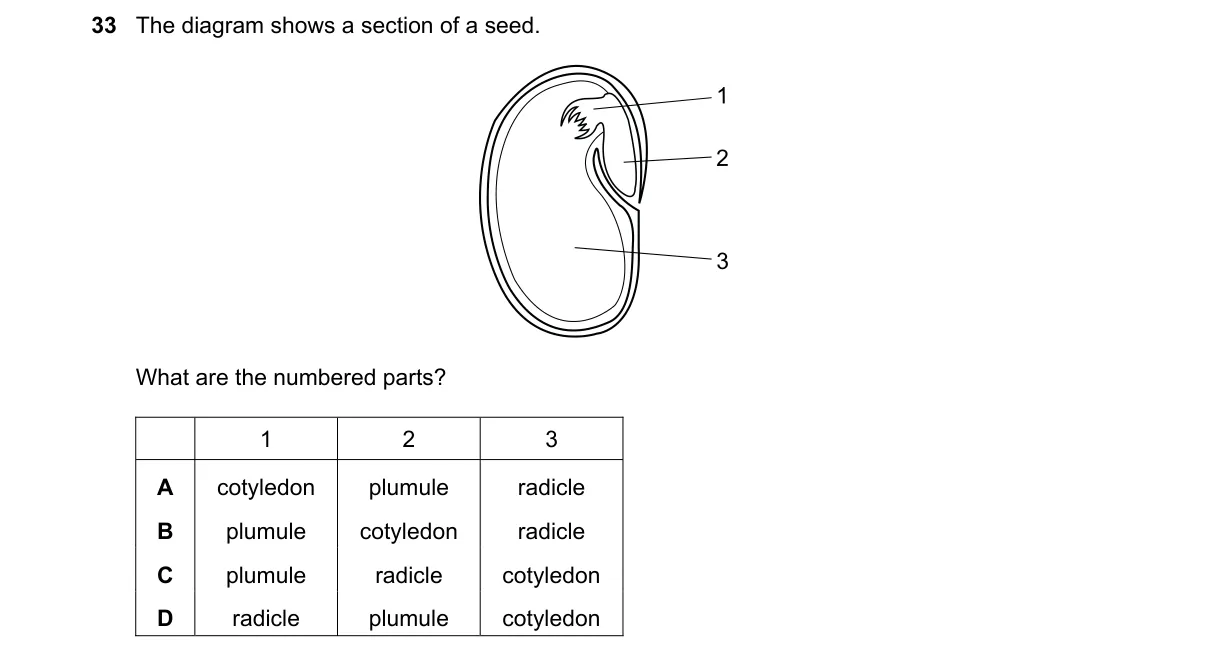 Question 33 from 5090/11/M/J/20