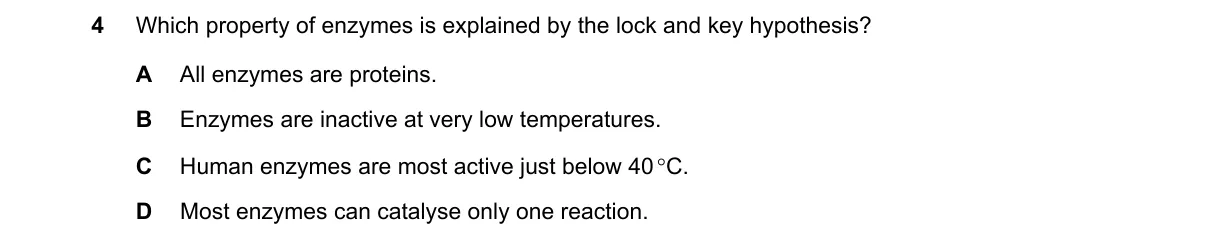 Question 4 from 5090/11/M/J/20