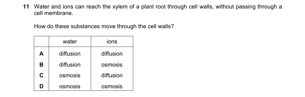 Question 11 from 5090/12/M/J/20