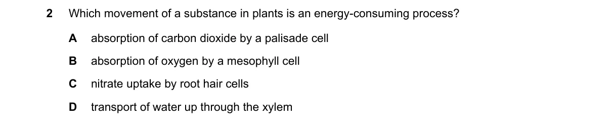 Question 2 from 5090/12/M/J/20