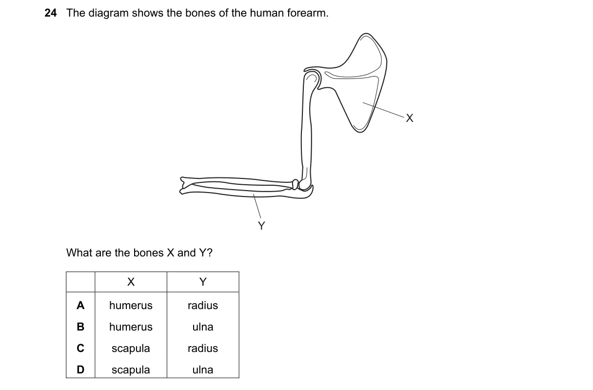 Question 24 from 5090/12/M/J/20