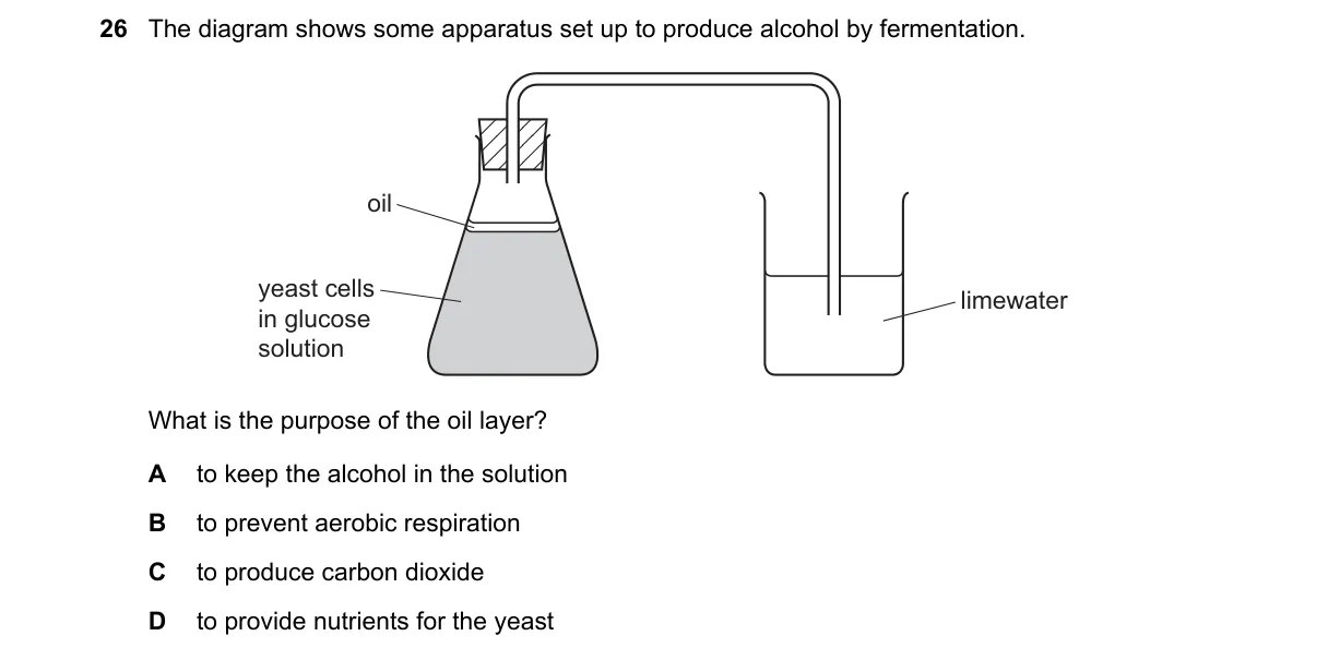 Question 26 from 5090/12/M/J/20