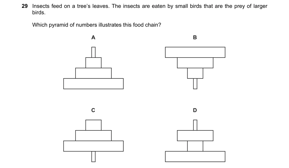 Question 29 from 5090/12/M/J/20
