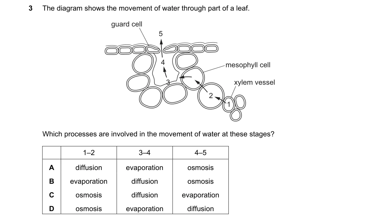 Question 3 from 5090/12/M/J/20