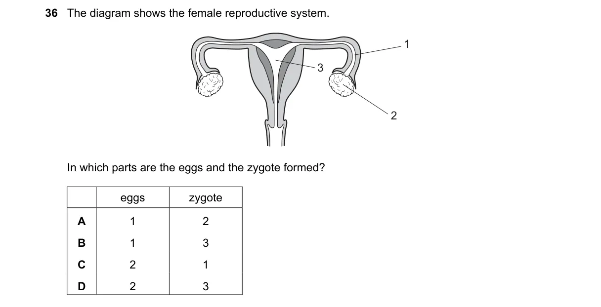 Question 36 from 5090/12/M/J/20